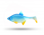 Black River Sweden Breem V2 - Blue Pearl Black River Sweden Breem V2 - Blue Pearl